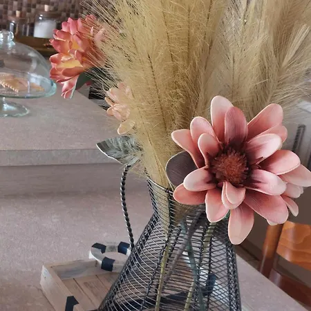 Boheme Artemis * Agios Spyridon (Spata-Artemida)